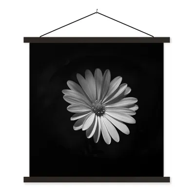 Produktbild von MuchoWow® Textilposter Ein weißes Gänseblümchen auf schwarzem Hintergrund 60x60 cm mit schwarzem Rahmen - Posteraufhänger