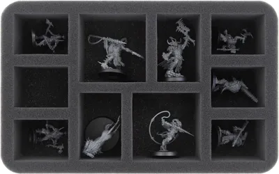 Produktbild von Schaumstoffeinlage für Warcry: Untamed Beasts Miniaturen