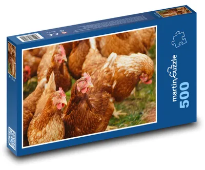 Obrázok produktu pre martinpuzzle - Puzzle 500 - Slepicky na farme
