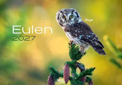 Produktbild von Klein, J: Eulen 2027