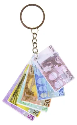 Productafbeelding van Duckiez Sleutelhanger Eurobiljetten - 48 stuks