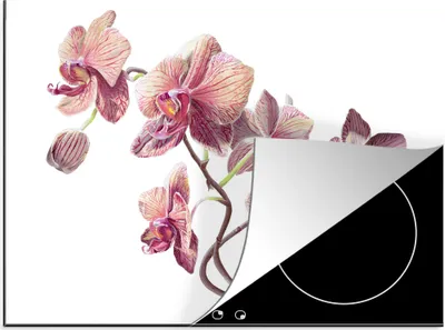 Produktbild von KitchenYeah© Herdabdeckplatte Eine Illustration von rosa Orchideen auf einem weißen Hintergrund , 59x51cm, Küche Deko, Glaskeramikkochfeld Herdabdeckung, Abdeckplatte fùr Kochfeld