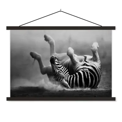 Produktbild von MuchoWow® Textilposter Zebra - Tiere - Schwarz - Weiß 120x80 cm mit schwarzem Rahmen - Wanddeko