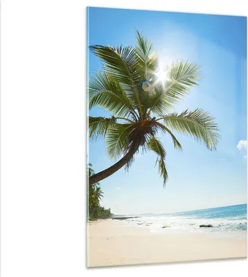 Produktbild von Bilder auf glas - Einteilig - Strand Palme Meer - 80x120cm - Glasbilder - Wandbilder - Bilder - zum Aufhängen bereit - Wanddekoration aus Glas - Glas Bilder - Wandbild auf Glas - GPA80x120-3570