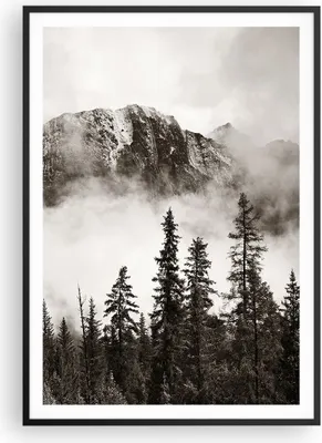 Produktbild von Gerahmtes Poster - Schwarzer Rahmen - Nebel Berg Wald - 70x100 cm - Wand Bild - Wanddeko - Wandbilder - Kunstposter - Wandposter - Bilderrahmen - Bilder - Kunstdruck - P2BPA70x100-4936