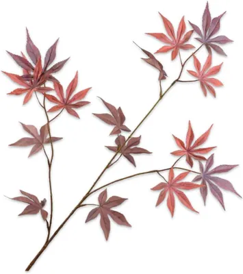 Image de Plante artificielle, branche de fleurs de soie avec feuilles, 96 cm, pour la décoration