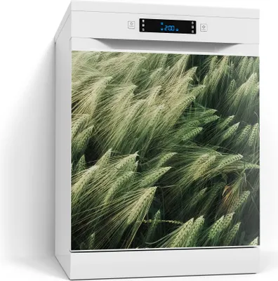 Produktbild von DEQORI Magnetmatte Spülmaschine beschreibbar 60x60 cm 'Getreidefeldidylle' Magnetfolie