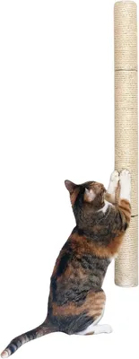 Obrázok produktu pre Škrabadlo na stenu 86.36 cm, sisal, pre mačky