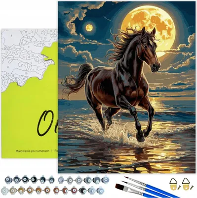 Image de Peinture par numéros adultes & enfants animaux cheval lune 50x40 - 31 couleurs acryliques, toile avec cadre en bois, 3 pinceaux, accessoires, peinture or Oh Art