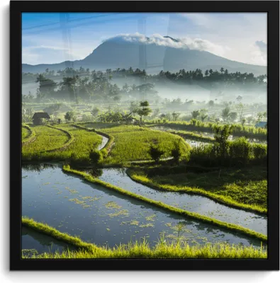 Produktbild von MuchoWow® MuchoWow® Gerahmtes Poster Indonesien - Reis - Nebel 40x40 cm - Poster mit zchwarzem Bilderrahmen - Mit Rahmen - Wanddekoration Schlafzimmer
