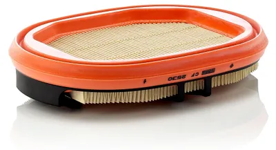 Produktbild von MANN-FILTER CF 2530 Sekundärluftfilter 4375638 4375638M1