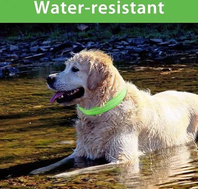 Imagen del producto de Collar LED para perros Unyqoos®: impermeable y recargable, con 3 modos de iluminación, alta visibilidad, ajustable, correa de 100% poliéster, color verde, talla M