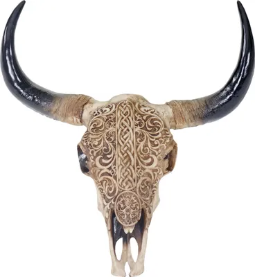 Produktbild von Deco Skull 65cm HWC-T454, Polyresinová trofej s hlavou býka dlouhorohého s kmenem, interiér/venkovní použití