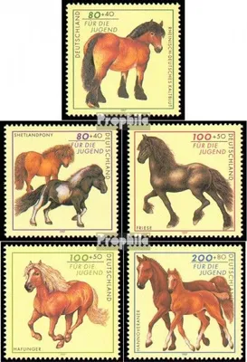Produktbild von Briefmarken BRD (BR.Deutschland) 1997 Mi 1920-1924 (kompl.Ausg.) FDC Jugend: Pferderassen