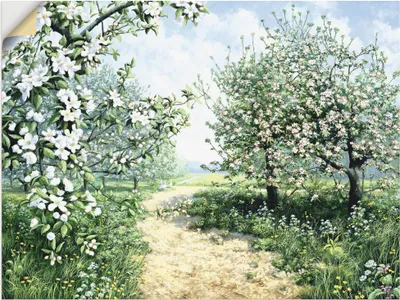Produktbild von ARTland Wandbild, selbstklebend Frühling I Größe: 80x60 cm