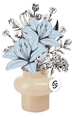 Produktbild von Blumenstrauß Krebs | Geschenk - frische Blumen | Blumenversand von BLOOMY DAYS