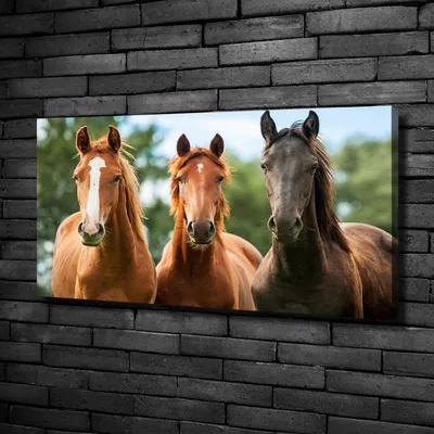 Produktbild von Tulup® Leinwandbild -100x50 cm - Wandkunst - Drucke auf Leinwand - Leinwanddruck  - Tiere - Braun - Drei Pferde