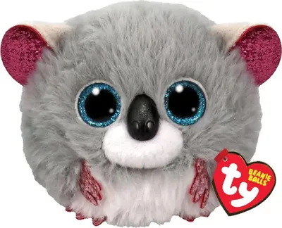 A close-up studio shot of a plush toy koala.