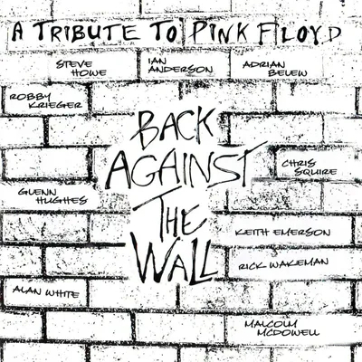 Produktbild von Pink Floyd - Back Against The Wall (2 LP)