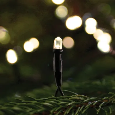 Obrázok produktu pre LED mini svetelná reťaz, 80 teplých bielych LED diód, IP44