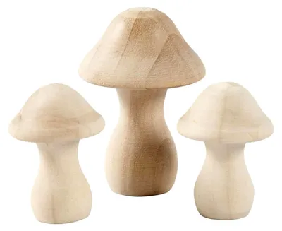 Produktbild von Holzpilze 4,5 x 2 Stück + 6,5 x 1 p
