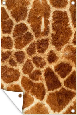 Produktbild von MuchoWow®