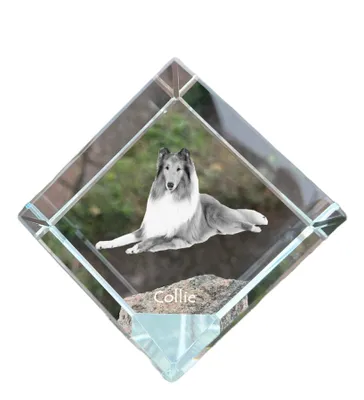 Produktbild von Art-Dog Briefbeschwerer Langhaarcollie