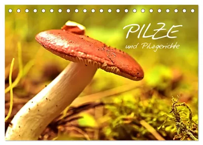 Produktbild von Pilze und Pilzgerichte (Tischkalender 2027 DIN A5 quer), CALVENDO Monatskalender