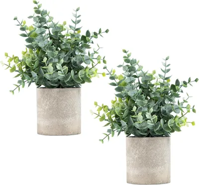Obrázok produktu pre Dve umelé rastliny v kvetináči, výška 19 cm, šírka 11 cm, vhodné do kancelárií a obytných priestorov