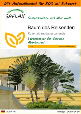 Produktbild von SAFLAX - Garden in the Bag - Baum des Reisenden - 8 Samen - Mit Anzuchtsubstrat im praktischen, selbst aufstellenden Beutel - Ravenala madagascariensis