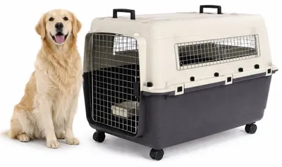 Image de Cage de transport pour chien - Boîte de transport pour chien - Flamingo Fomad, gris foncé - Taille XL, 60 x 90 x 68 cm