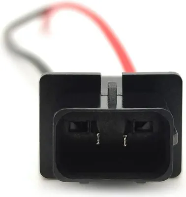 Image de Prise PS19W