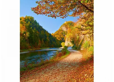 Obrázok produktu pre Dimex fototapeta MS-3-0069 rieka Dunajec 225 x 250 cm