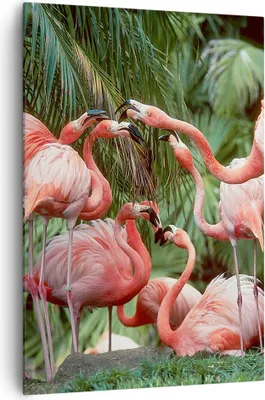 Produktbild von Bild auf Leinwand - Leinwandbild - Einteilig - Palmen Herde Flamingos - 70x100cm - Wand Bild - Wanddeko - Wandbilder - Leinwanddruck - Wanddekoration - Leinwand bilder - Wandbild - PA70x100-4804