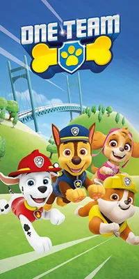 Produktbild von Paw Patrol Badetuch One Team 70x140 cm