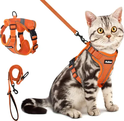 Produktbild von Famanu Katzenharness verstellbar - Blau, klein mit reflektierender Leine