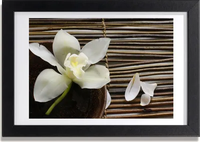 Produktbild von Bild 30x20 MDF-Rahmen, Wandkunst Orchidee