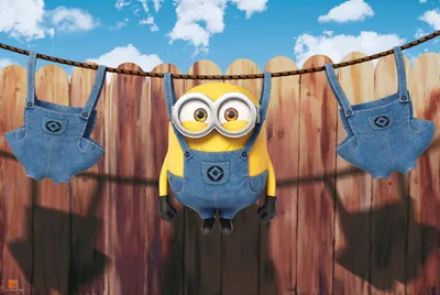 Produktbild von MINIONS - Poster Maxi 91cmx51cm - Laundry
