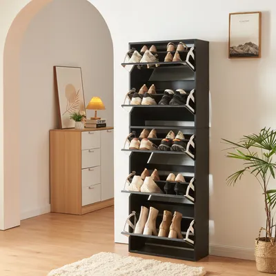 Obrázok produktu pre Vozík na topánky "Lund" s 5 zrkadlovými klapkami 169 x 60 x 24 cm čierny