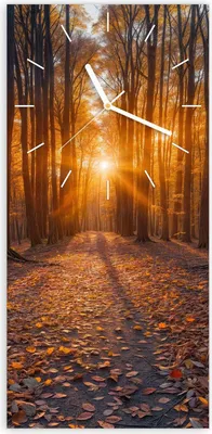 Produktbild von Wanduhr aus Glas mit Motiv Sonnenuntergang Wald- 30 x 60 cm - inkl. Aufhängesystem