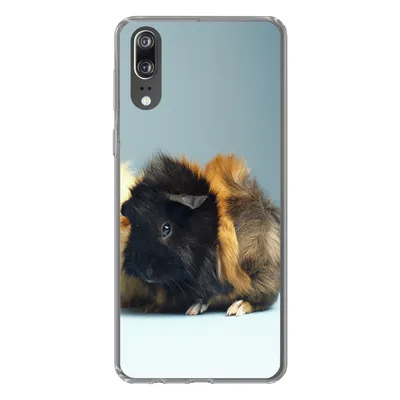 Produktbild von MuchoWow® Handyhülle Schutzhülle Hülle für Huawei P20 Zwei kleine Meerschweinchen Silikon Softcase Handy Hülle - Hardcover