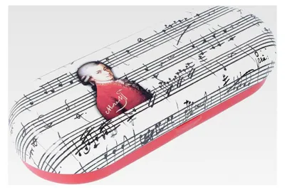 Produktbild von Hartschalen-Brillenetui aus Metall mit Mozart-Motiv