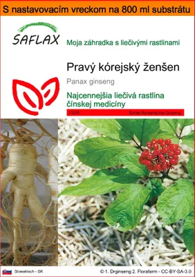 Obrázok produktu pre SAFLAX Garden in the bag - Pravý kórejský ženšen - Panax ginseng - 10 Semená - S pestovateľským substrátom v praktickom samostaviteľnom vrecku