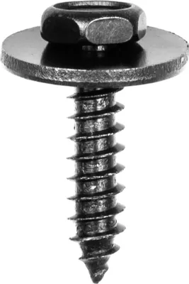 Image de 1 vis de fixation noire 5x19 mm universelle