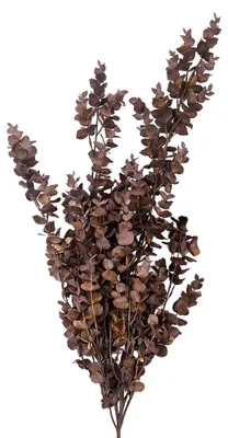 Produktbild von Clayre & Eef Dekoration Ast Braun Kunststoff