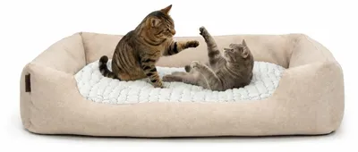 Produktbild von lionto Katzenbett, stilvolles Kuschelkörbchen mit tiefem Einstieg, Wendekissen & rutschfestem Boden, 110x80 cm, beige