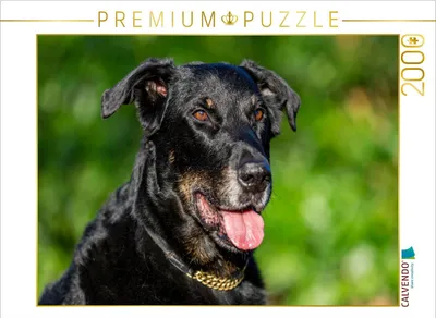 Produktbild von CALVENDO Puzzle Ein Motiv aus dem Kalender Der Beauceron | 2000 Teile Lege-Größe 90x67cm Foto-Puzzle für glückliche Stunden