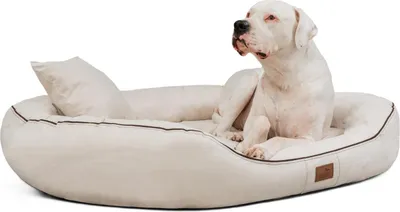 Produktbild von tierlando® Orthopädisches Hundebett MARLON VISCO PLUS Velours - Größe: 140x105cm | Farbe: 05 Creme