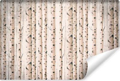 Produktbild von Muralo Selbstklebende Fototapete für Wohnzimmer BIRKEN Bäume Natur Retro Stil Br. 460cm x Hö. 300cm