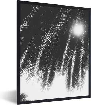 Produktbild von MuchoWow® Gerahmtes Poster Palmenblätter - Tropisch - Sonne - Palme 60x80 cm - Poster mit Schwarzem Bilderrahmen Wandposter Rahmen Foto Bilder - Premium - Wanddeko Wohnzimmer